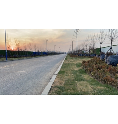 喜讯:我公司中标临沂汤头温泉旅游度假区奥华路等八条道路绿化铺装及亮化工程第七标段